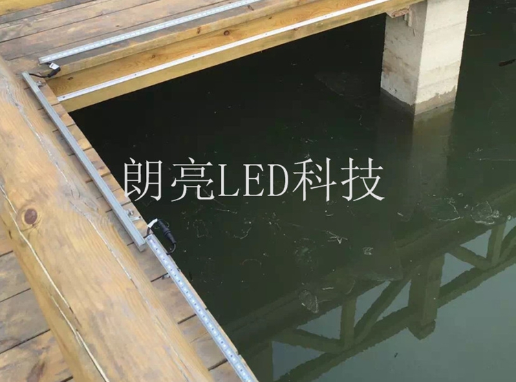 户外亮化厂家.jpg