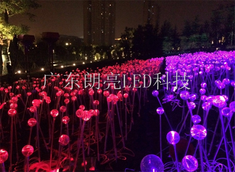 芦苇灯