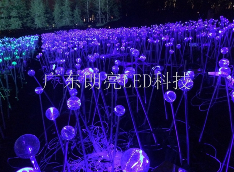 芦苇灯