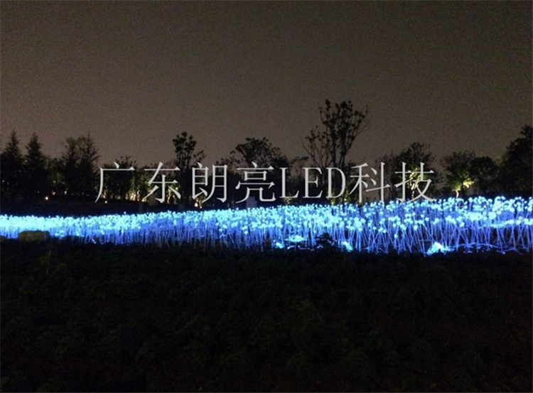 芦苇灯