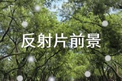 <b>特别适用于那些难以获取全面的资料进行统计分</b>