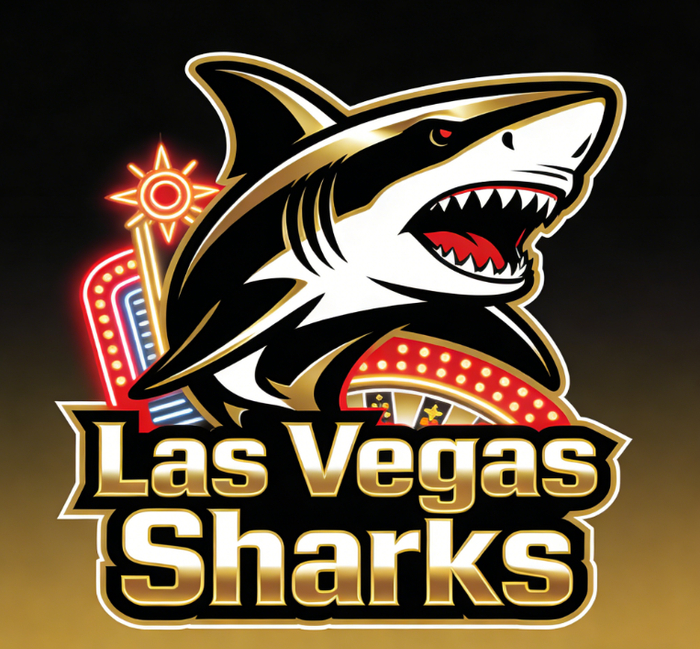 拉斯维加斯新球队命名引发热议 超音速队或回归